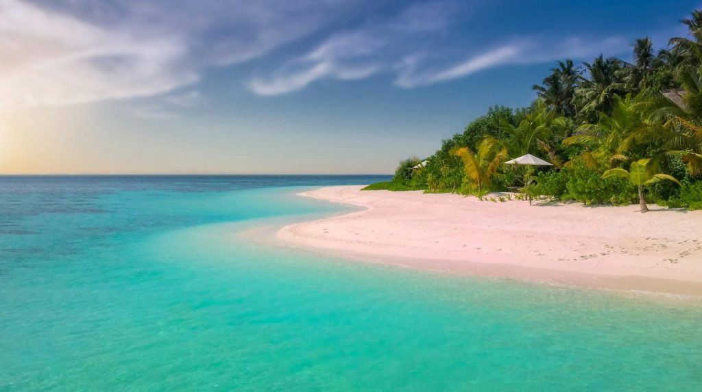 Serene tropical beach with palm trees and clear turquoise water, perfect for a relaxing summer vacation.